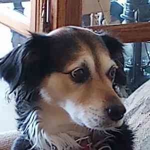 Meet your Posher, Kurt